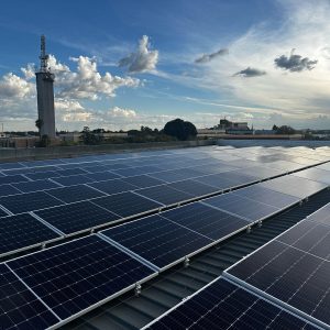 Copy of IMG 20240412 WA0006