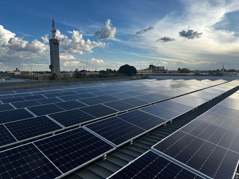 Copy of IMG 20240412 WA0006