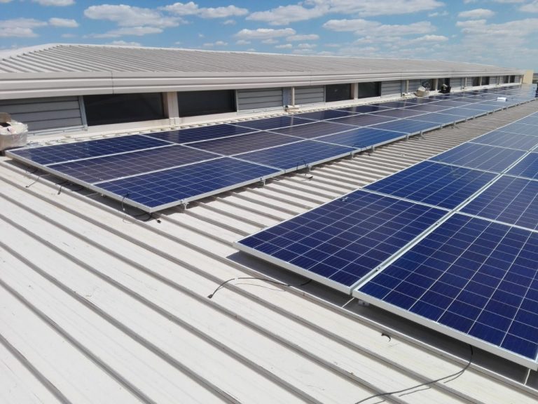 Copy of WhatsApp Image 2024 10 09 at 12.37.15