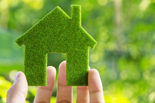 The Environmental Benefits of Going Green in Your Home